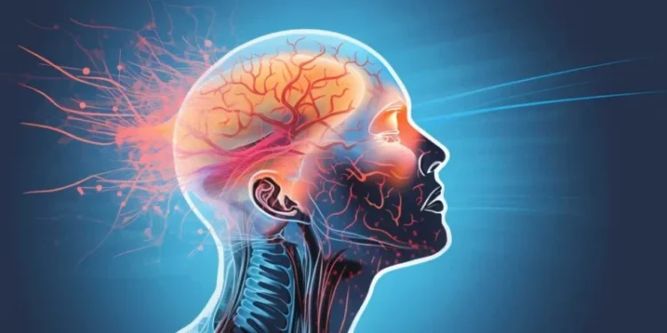 Як людський мозок може конкурувати зі штучним інтелектом? — ТЕХНОЛОГИИ