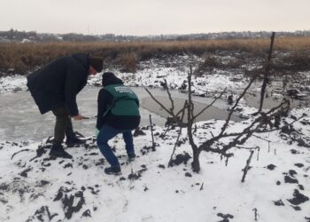 Держекоінспекція обстежує території після обстрілів Запоріжжя 8 січня | Новини Запоріжжя
