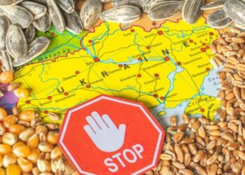 У Польщі розповіли, коли скасують заборону на зерно з України – ЭКОНОМИКА