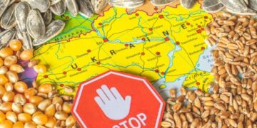 У Польщі розповіли, коли скасують заборону на зерно з України – ЭКОНОМИКА