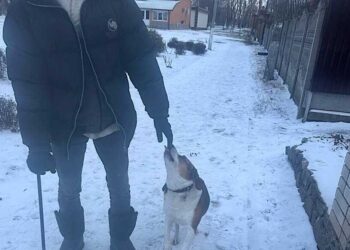 Поліцейський Київщини допоміг дідусю відшукати його собаку-поводиря | Новини Київ