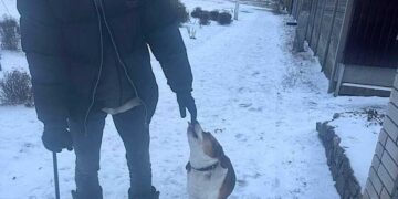 Поліцейський Київщини допоміг дідусю відшукати його собаку-поводиря | Новини Київ