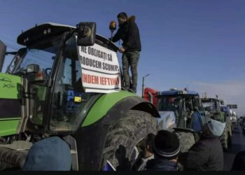 Через протести румунських фермерів на виїзд з України утворилися черги з тисячі вантажівок |  |
