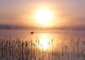 Черкащани вибороли призові місця на всеукраїнському конкурсі юних фотоаматорів  — Новости Черкасс