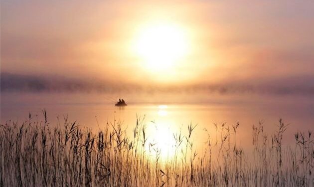 Черкащани вибороли призові місця на всеукраїнському конкурсі юних фотоаматорів  — Новости Черкасс