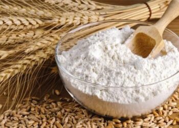 В Україні дорожчає продовольча пшениця – ЭКОНОМИКА