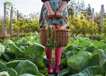 Фермерок Львівщини навчатимуть садівництву та овочівництву – ЭКОНОМИКА