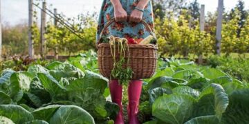 Фермерок Львівщини навчатимуть садівництву та овочівництву – ЭКОНОМИКА