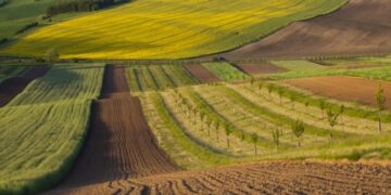 Держгеокадастр Черкаської області торік видав понад 102 тисячі витягів із НГО — Новости Черкасс