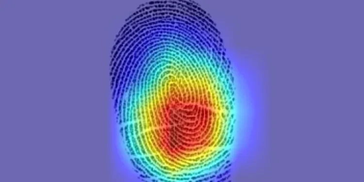 AI виявляє, що не кожен відбиток пальця унікальний — ТЕХНОЛОГИИ