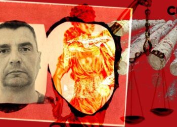 Екс-бухгалтер лісгоспу на Шепетівщині отримав 8 років тюрми та втік за кордон —Хмельнитчина