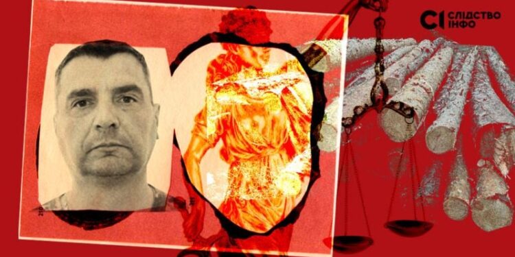 Екс-бухгалтер лісгоспу на Шепетівщині отримав 8 років тюрми та втік за кордон —Хмельнитчина