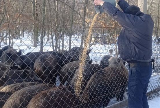 На Черкащині поліцейський офіцер допомагає диким тваринам пережити зиму — Новини Черкащіни
