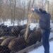 На Черкащині поліцейський офіцер допомагає диким тваринам пережити зиму — Новини Черкащіни