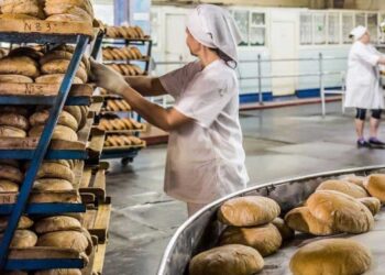 Пече для клієнтів і ЗСУ: ще одна жителька Кіровоградщини скористалася програмою “єРобота” | – Новини Кропивницького і Кіровоградщини