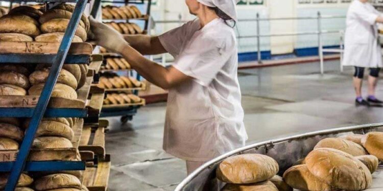 Пече для клієнтів і ЗСУ: ще одна жителька Кіровоградщини скористалася програмою “єРобота” | – Новини Кропивницького і Кіровоградщини