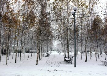 Перейменування вулиць на Полтавщині: нові назви у Піщаному
