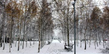 Перейменування вулиць на Полтавщині: нові назви у Піщаному