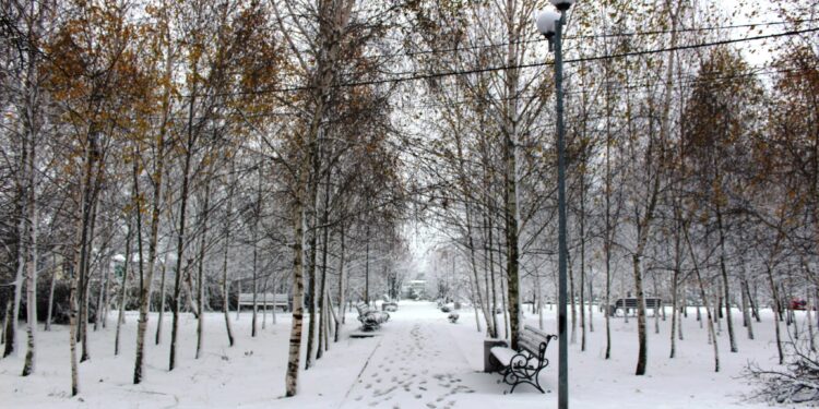 Перейменування вулиць на Полтавщині: нові назви у Піщаному