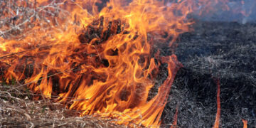 Прикарпатка посеред зими спалювала залишки сухої трави: на жінку склали адмінматеріал