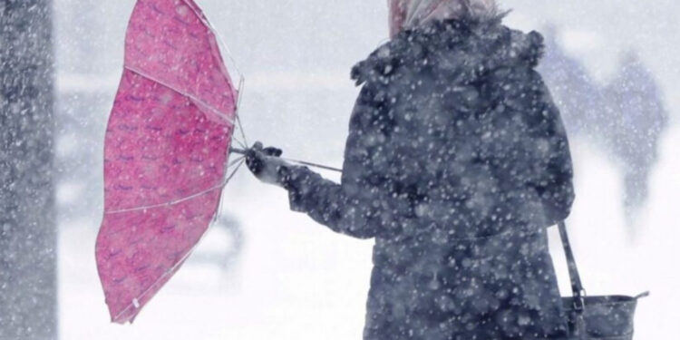 Сильні пориви вітру у Житомирі та області триватимуть до кінця дня | Журнал Житомира