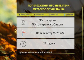 Сильний вітер у Житомирі та області: можливі пориви електромережі | Журнал Житомира