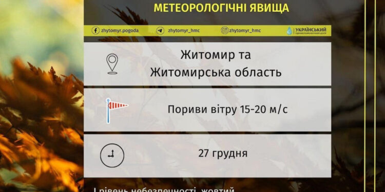 Сильний вітер у Житомирі та області: можливі пориви електромережі | Журнал Житомира