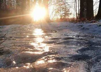Тепло та відлига: якою буде погода у Черкаській області цього тижня