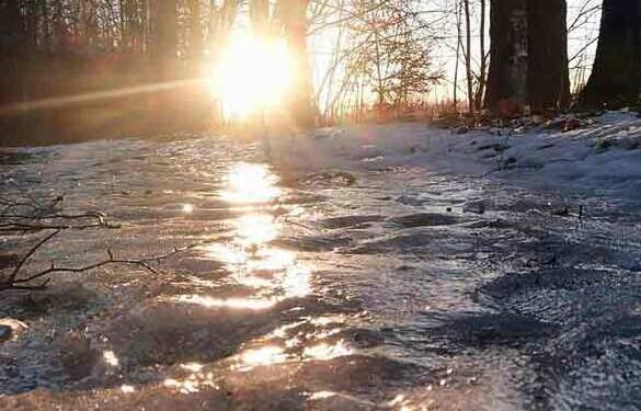 Тепло та відлига: якою буде погода у Черкаській області цього тижня