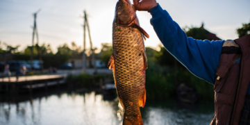 У «Дніпровського лиману» забрали 157 га на Полтавщині