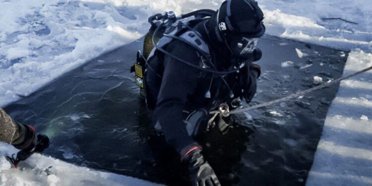 У ставку на Кременеччині виявили тіло людини | Терміново новини Тернополя