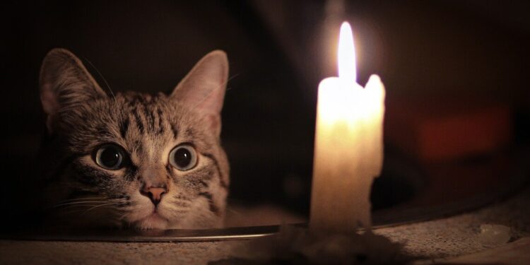 У запорізьких домівках не буде світла – за якими адресами відключать електрику 17 січня | Новости Запорожья