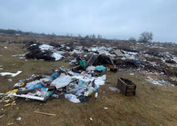 Звалище відходів на Житомирщині. Екологи вимагають від селищної ради очистити територію | Журнал Житомира