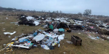 Звалище відходів на Житомирщині. Екологи вимагають від селищної ради очистити територію | Журнал Житомира