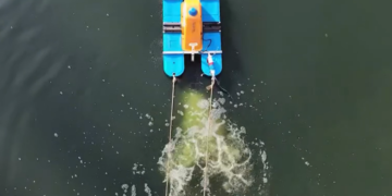 Працівники комунальних служб здійснили аерацію озера Голубе | Новини Київ