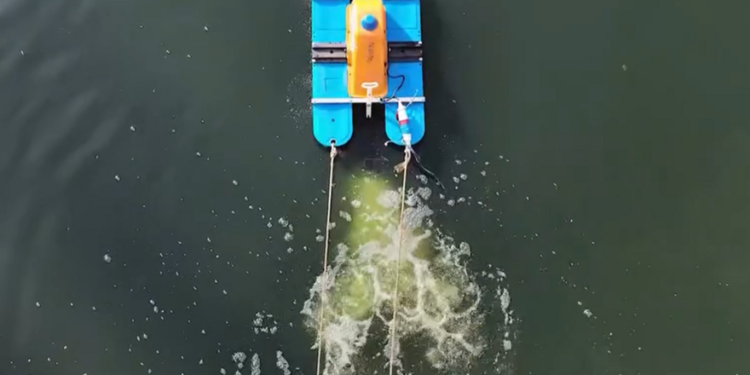 Працівники комунальних служб здійснили аерацію озера Голубе | Новини Київ