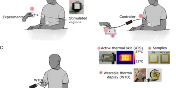 Нова технологія допомогла людям із протезами рук відчути вологість предметів — ТЕХНОЛОГИИ