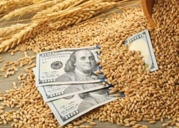 Українські борошномели продовжують підвищувати ціни на продовольчу пшеницю – ЭКОНОМИКА