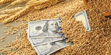 Українські борошномели продовжують підвищувати ціни на продовольчу пшеницю – ЭКОНОМИКА