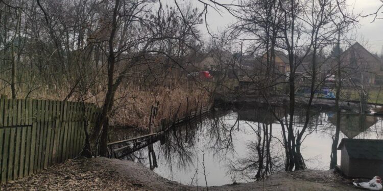 У Запоріжжі на прибрежно-захисній зоні невідомі організували господарство | Новини Запоріжжя