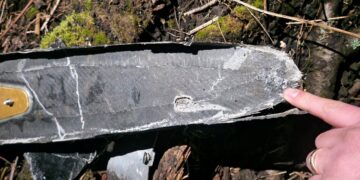 На околиці Запоріжжя нацгвардійці “приземлили” ударні БпЛА | Новини Запоріжжя