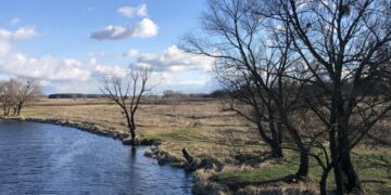 Черкащина перебуває під впливом двох циклонів – Новини Черкасс
