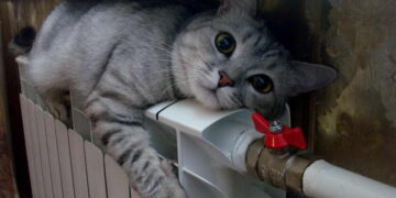 Батареї холодні – що робити, чи можна зменшити платіжки