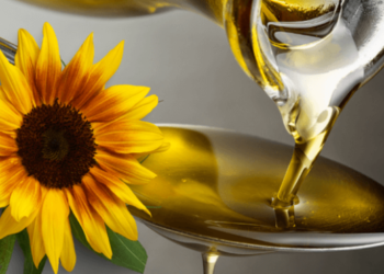 В Україні подешевшала соняшникова олія – ЭКОНОМИКА