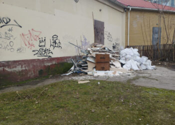 Біля піцерії в Хортицькому районі Запоріжжя утворилося сміттєзвалище – як відреагували в інспекції з благоустрою | Новости Запорожья