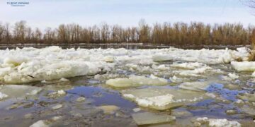 У Київській області обстежили пойму річки Десна | Новини Київ