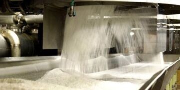 На Житомирщині відновили роботу два цукрові заводи – ЭКОНОМИКА