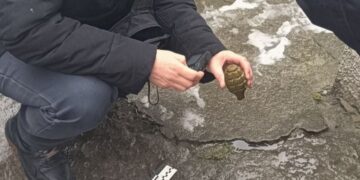 На Черкащині громадській діячці підкинули гранату – Новини Черкасс
