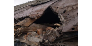 14 лютого: як пройшов у Сумах і на Сумщині День закоханих – Область – Сумские новости