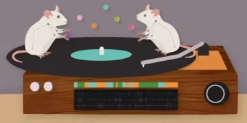 Штучний інтелект розпізнає та вчиться передбачати моделі поведінки на основі відео — ТЕХНОЛОГИИ